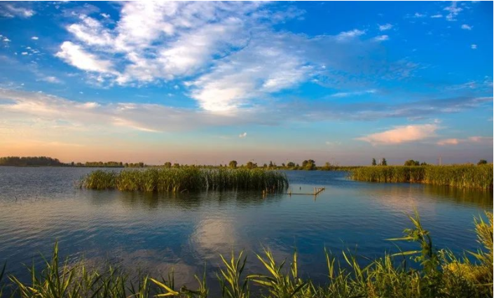 常识|文化常识：雨中草色绿堪染，水上桃花红欲然