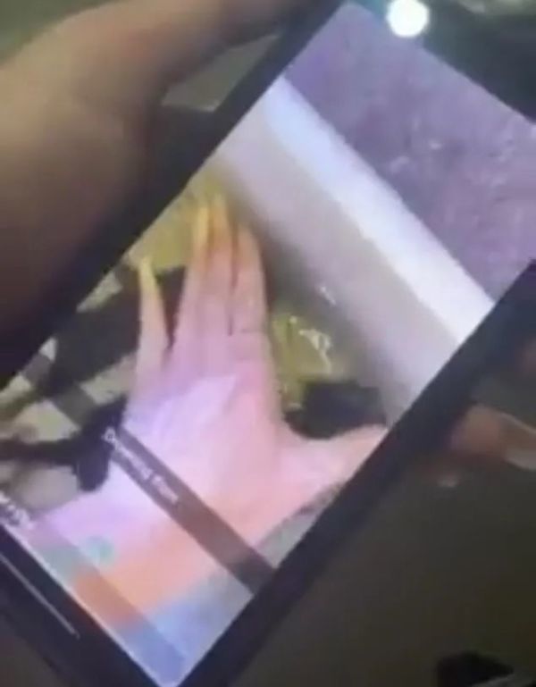 虐猫|丧心病狂！澳女虐猫视频火遍全澳！还叫嚣“有人花钱雇我这么做”！