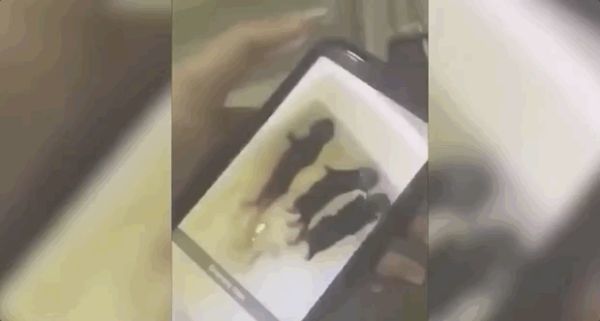 虐猫|丧心病狂！澳女虐猫视频火遍全澳！还叫嚣“有人花钱雇我这么做”！