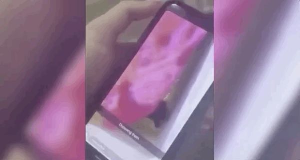 虐猫|丧心病狂！澳女虐猫视频火遍全澳！还叫嚣“有人花钱雇我这么做”！