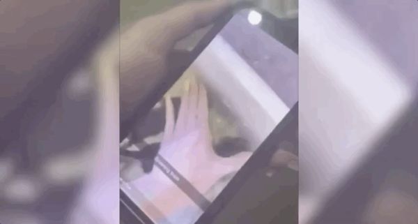 虐猫|丧心病狂！澳女虐猫视频火遍全澳！还叫嚣“有人花钱雇我这么做”！