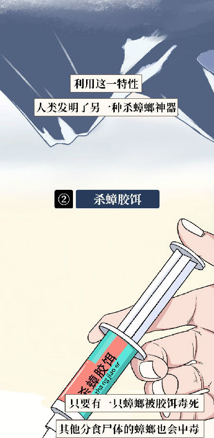 蟑螂|蟑螂一生可产4500只后代，怎样才能铲草除根？灭蟑螂4大方法