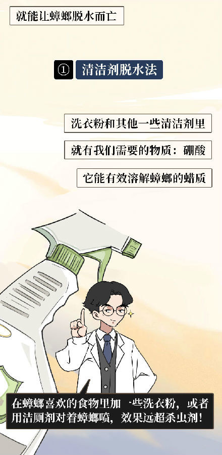 蟑螂|蟑螂一生可产4500只后代，怎样才能铲草除根？灭蟑螂4大方法