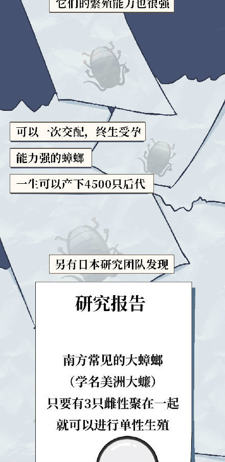 蟑螂|蟑螂一生可产4500只后代，怎样才能铲草除根？灭蟑螂4大方法