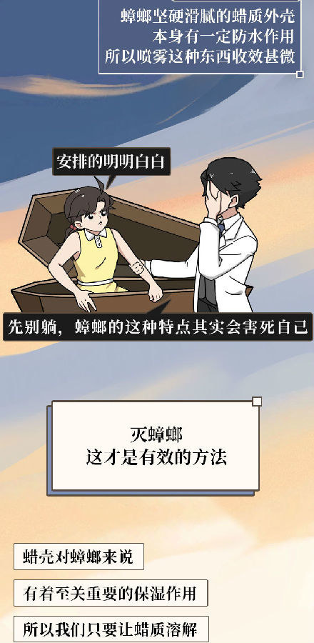 蟑螂|蟑螂一生可产4500只后代，怎样才能铲草除根？灭蟑螂4大方法