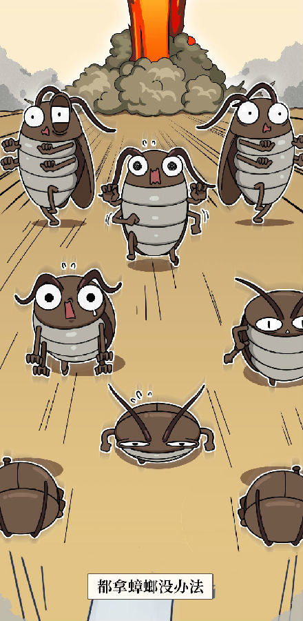 蟑螂|蟑螂一生可产4500只后代，怎样才能铲草除根？灭蟑螂4大方法