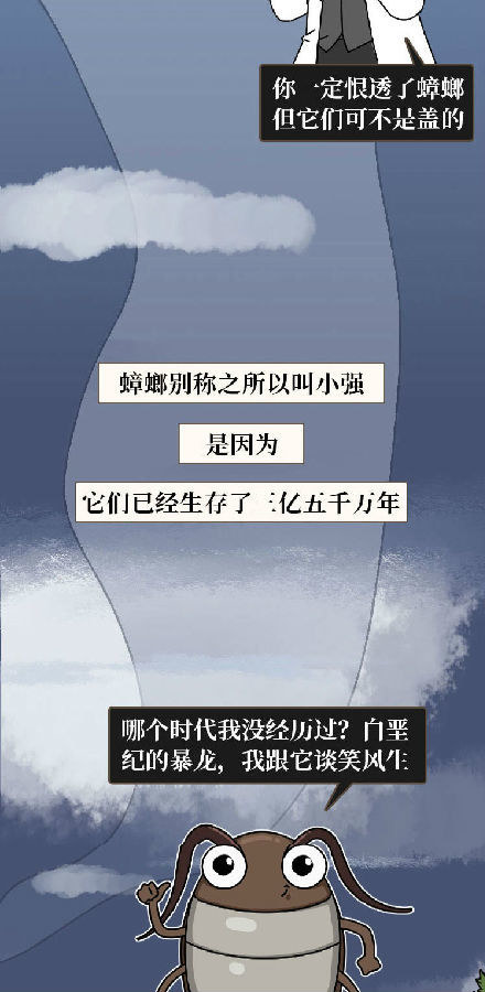 蟑螂|蟑螂一生可产4500只后代，怎样才能铲草除根？灭蟑螂4大方法