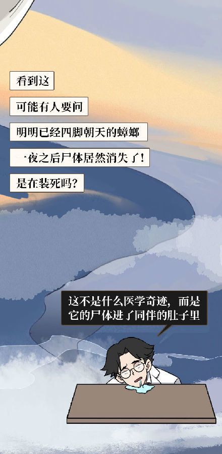 蟑螂|蟑螂一生可产4500只后代，怎样才能铲草除根？灭蟑螂4大方法