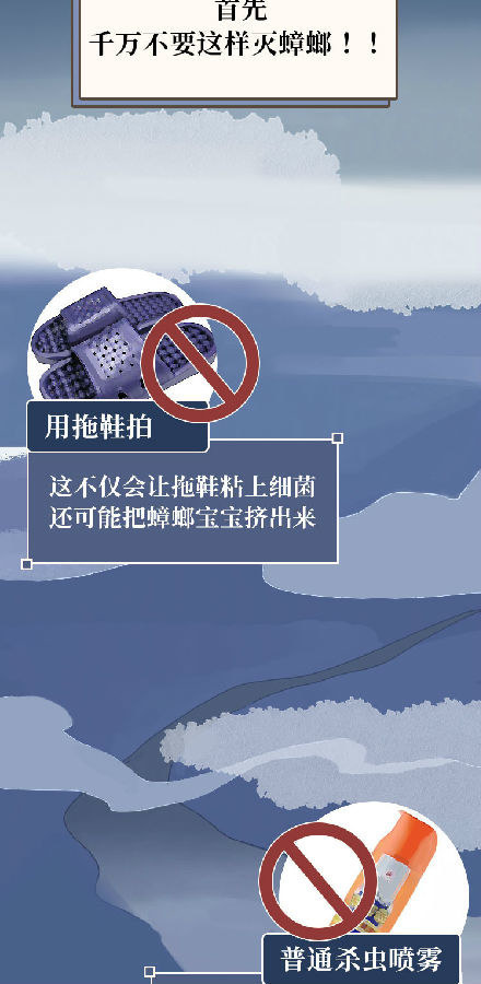 蟑螂|蟑螂一生可产4500只后代，怎样才能铲草除根？灭蟑螂4大方法