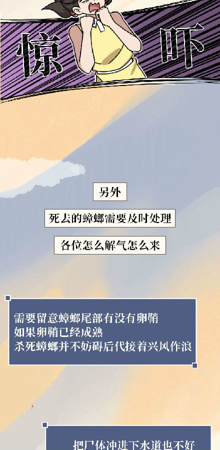 蟑螂|蟑螂一生可产4500只后代，怎样才能铲草除根？灭蟑螂4大方法