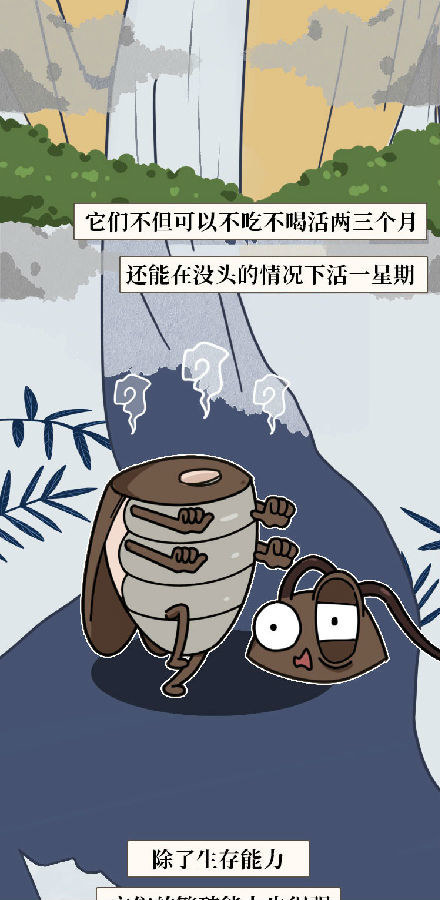 蟑螂|蟑螂一生可产4500只后代，怎样才能铲草除根？灭蟑螂4大方法