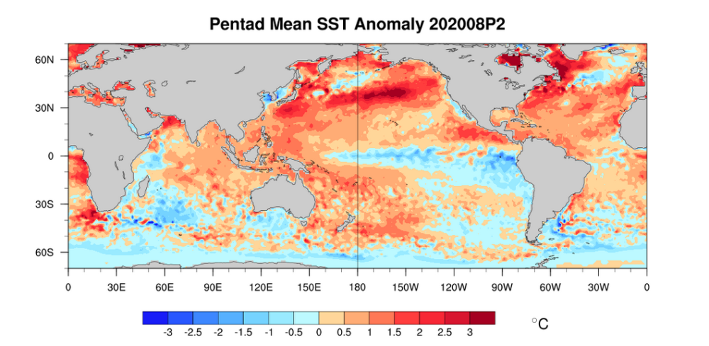 台风|西太平洋成“火锅”，30度面积超900万平方公里！分析：警惕台风