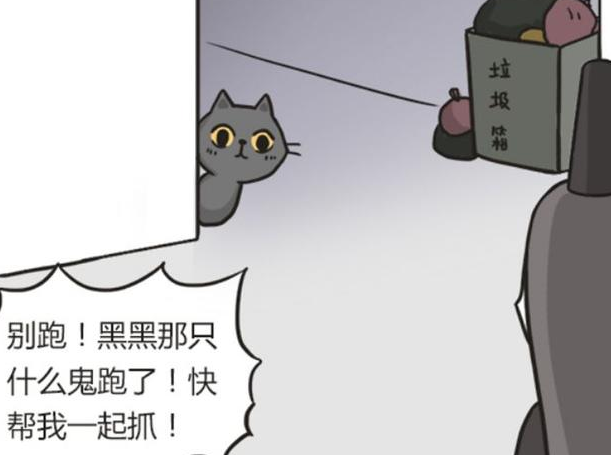 搞笑疯人:黑无常猫奴属性发作,看到猫咪连鬼都不抓了