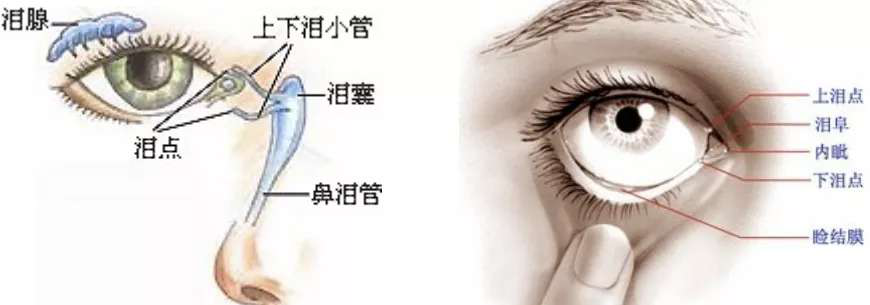 泪点低,也可能是一种病!