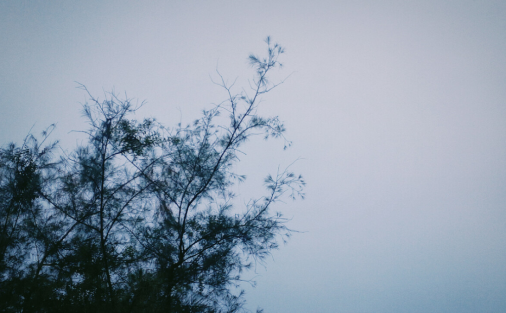 秋雨|夏去秋来，一枕新凉