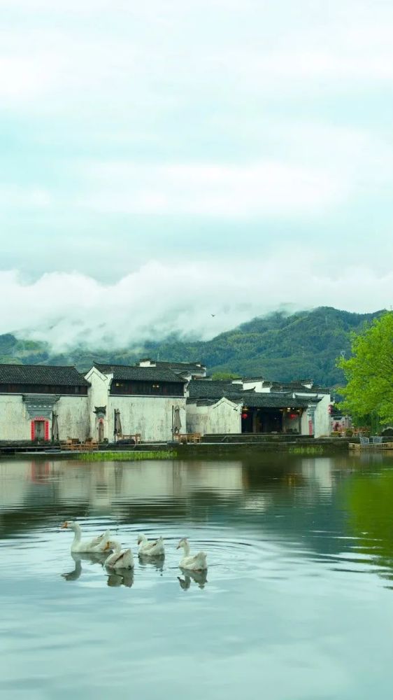 秋雨|夏去秋来，一枕新凉