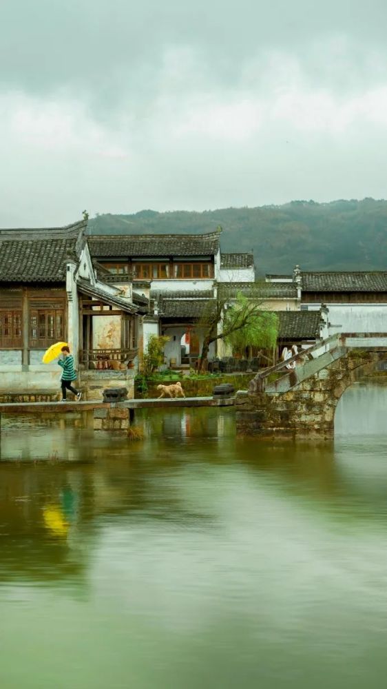 秋雨|夏去秋来，一枕新凉