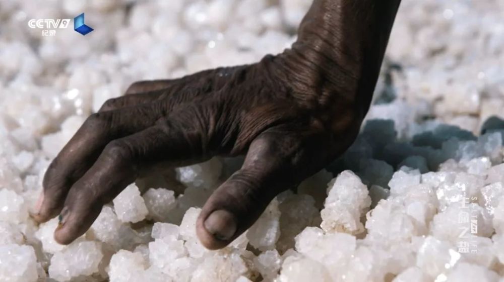 甘地与盐谁又能想到?