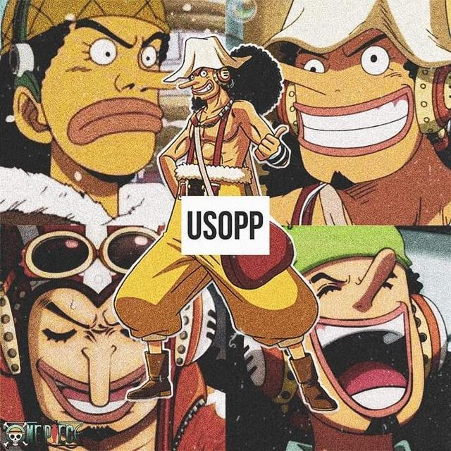 海贼王草帽团全员成长史全体成员两年赏金涨了21亿贝利