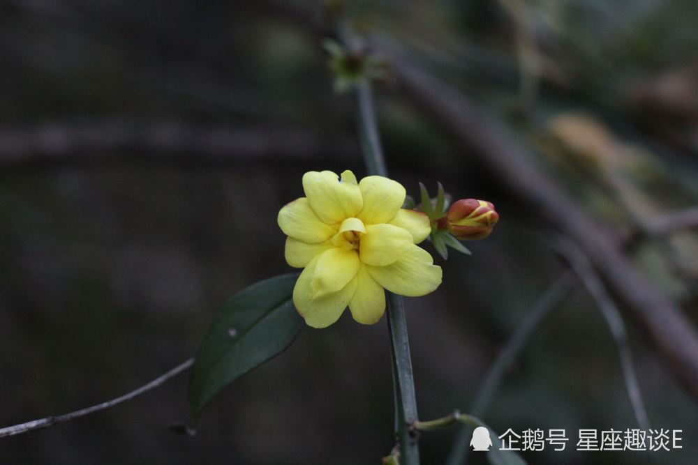 8月22日 24日星座运势 双子成熟稳重 天秤贵人相助 摩羯随机应变 腾讯新闻