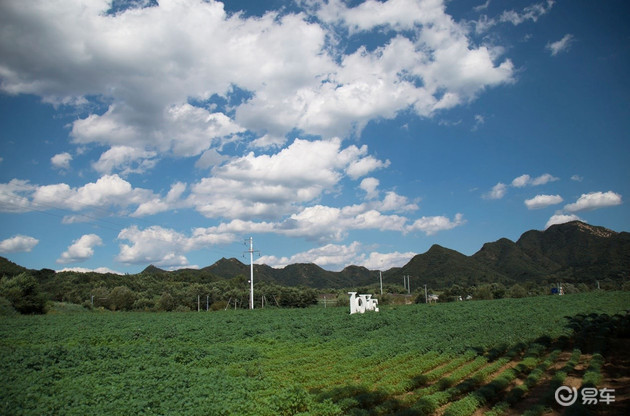 福特探险者|精致硬汉的绝美情怀 福特探险者探访北京最美花海