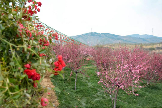 山中景花中仙林中泉营口芙蓉山旅游风景区