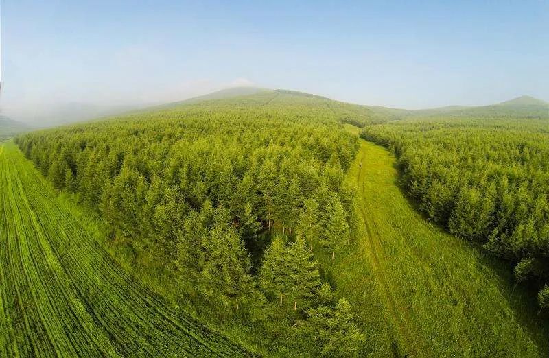 丰宁村民靠"呼吸"挣钱,火了!