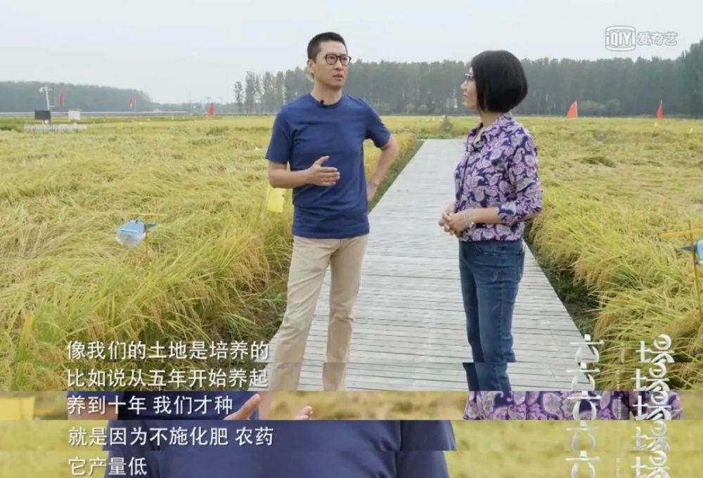 林心如|50岁“尔康”罕见公开私生活：误会周杰的，何止林心如