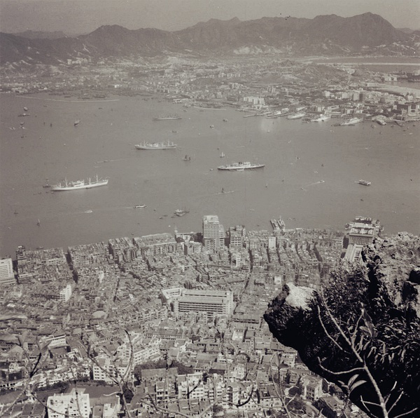 梁小龙|事业遭封杀，前妻被毁容，娶小26岁娇妻后，如今72岁的他怎样了？