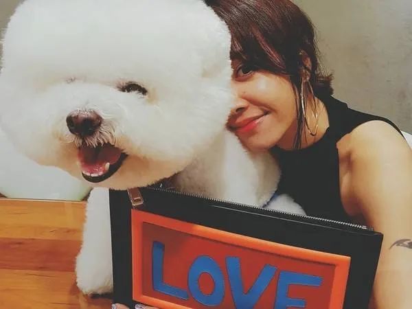 盘点明星家的狗狗们盘靓条顺还会赚钱真人不如狗