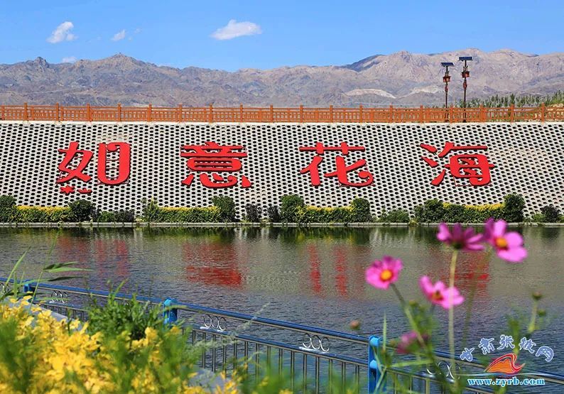 组图 初秋时节 这地方的花海美成了一道风景线 腾讯新闻