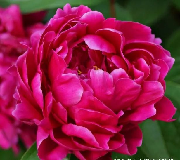 8月下旬 开启金运 财运爆棚 贵人遍地 日进斗金的三生肖 腾讯新闻