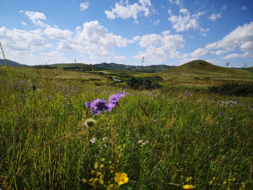 庚子年|【诗词】靳鸿儒庚子年初秋新韵诗词十首