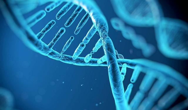 蚊子|24万人反对无效！美国将释放7.5亿只蚊子：全部经过基因改造！