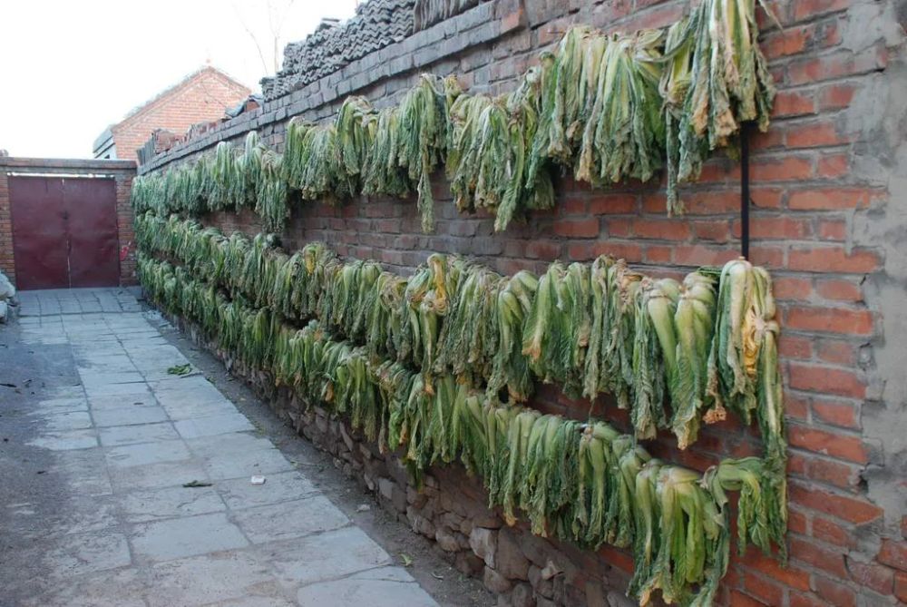 胡同|北京的胡同都一个样，太没内味了