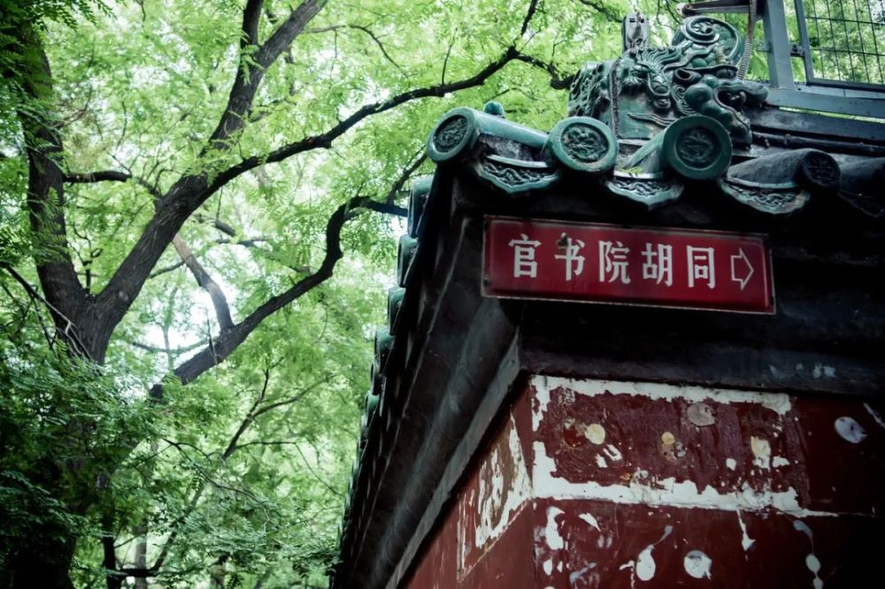 胡同|北京的胡同都一个样，太没内味了