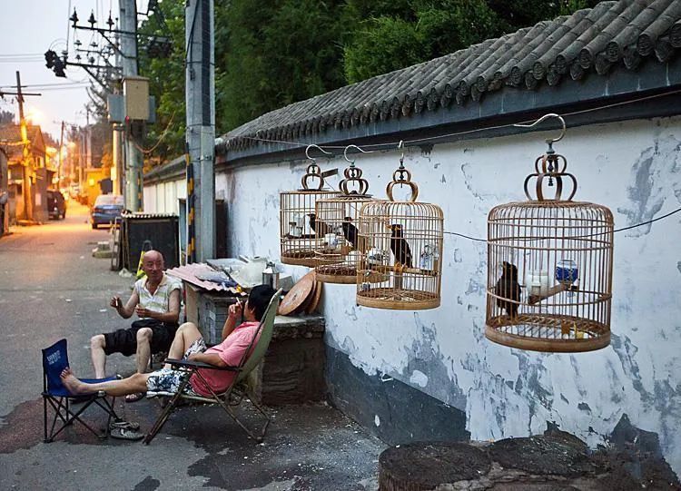 胡同|北京的胡同都一个样，太没内味了