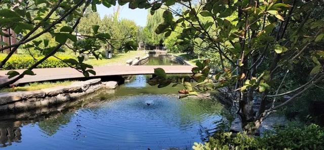 东城区|什么情况？39万能落户东城？真相让人心动！