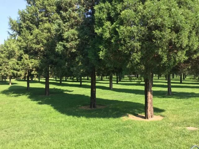 东城区|什么情况？39万能落户东城？真相让人心动！