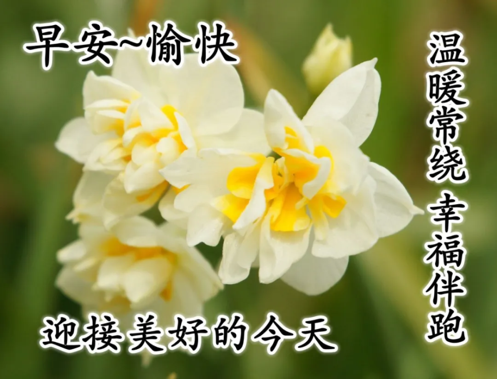 适合微信群发的早上好问候语图片大全 新版早晨祝福语唯美句子