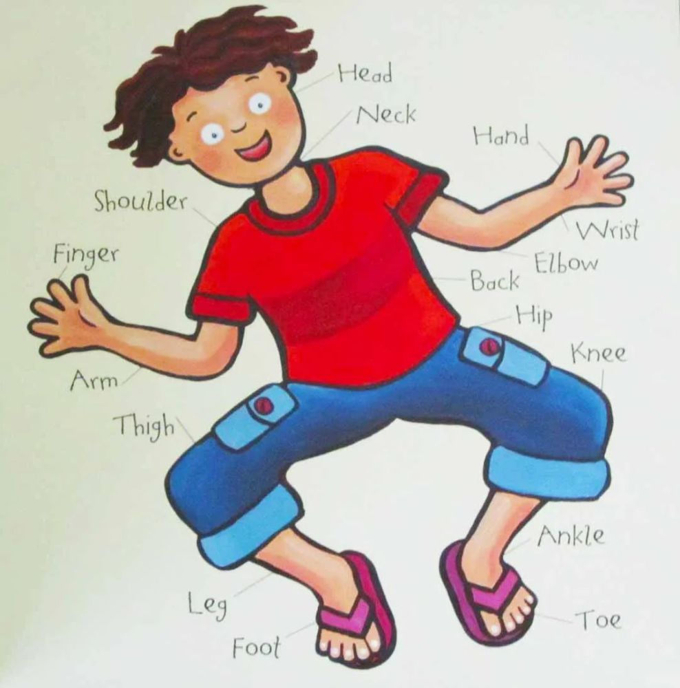 有声绘本故事drybones干枯的骨头