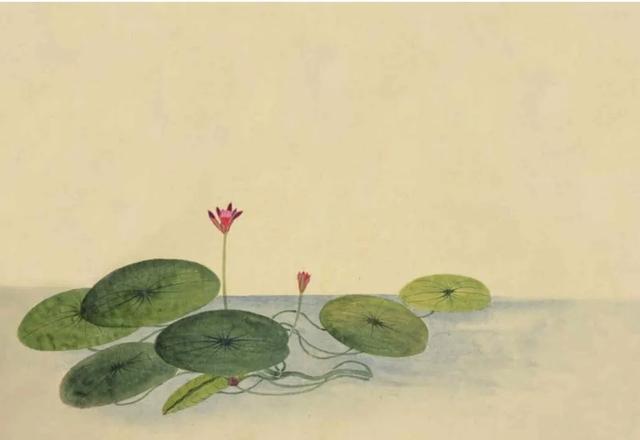 诗|二十三首诗与二十三道菜