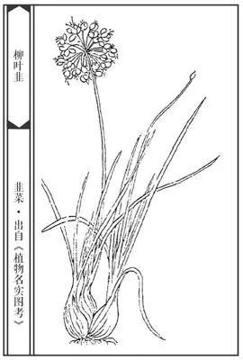 诗|二十三首诗与二十三道菜