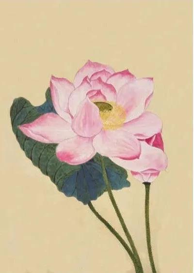 诗|二十三首诗与二十三道菜