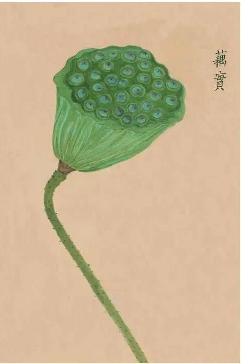 诗|二十三首诗与二十三道菜