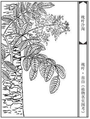 诗|二十三首诗与二十三道菜