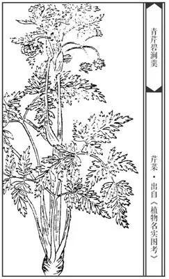 诗|二十三首诗与二十三道菜