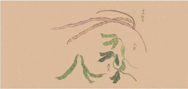 诗|二十三首诗与二十三道菜