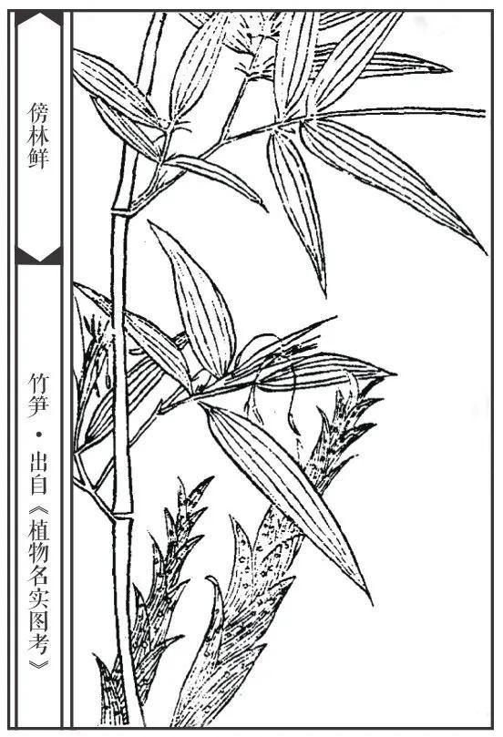 诗|二十三首诗与二十三道菜