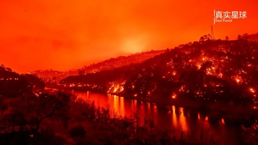 北加州|三百场野火大焚加州，美国千里人间如地狱